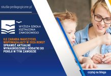 Ile zarabia nauczyciel wspomagający w 2026 roku? Sprawdź aktualne wynagrodzenie i dodatki do pensji w tym zawodzie Ile zarabia nauczyciel wspomagający w 2026 roku? Sprawdź aktualne wynagrodzenie i dodatki do pensji w tym zawodzie